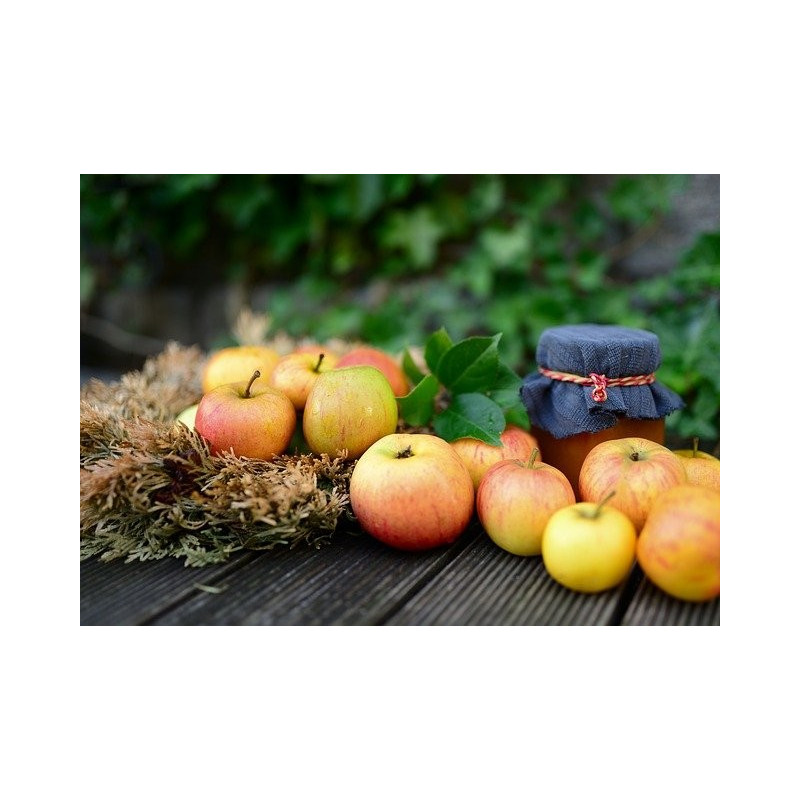 1 kg de Pommes  Golden ou Gala 