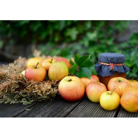 1 kg de Pommes  Golden ou Gala 