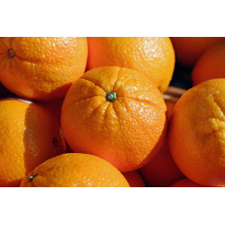  1 kg Oranges tr. imazalil thiabendazole