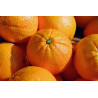  1 kg Oranges tr. imazalil thiabendazole